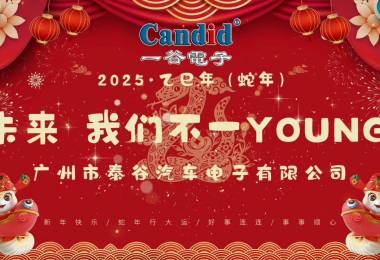一谷电子2025年会盛典