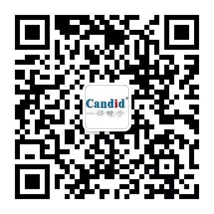 广州市泰谷汽车电子有限公司