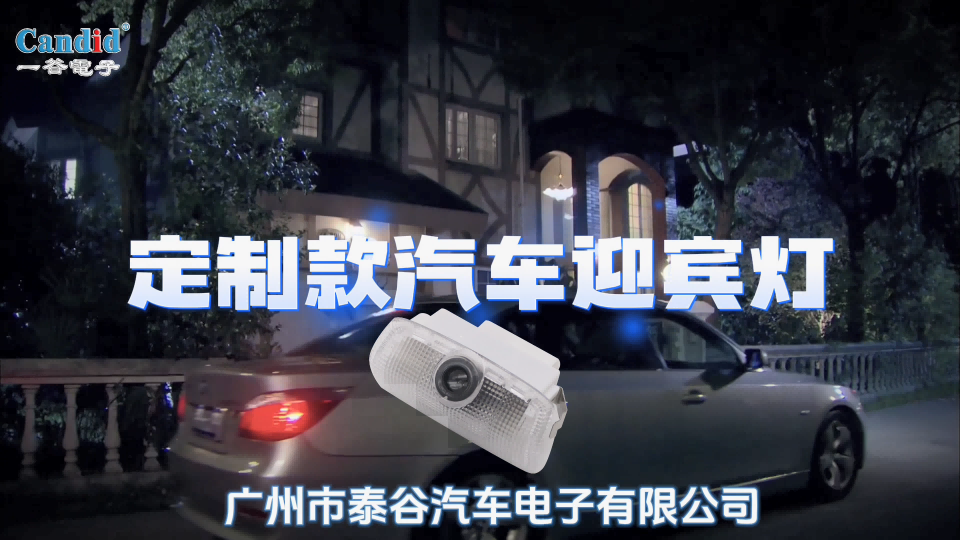 定制汽车迎宾灯