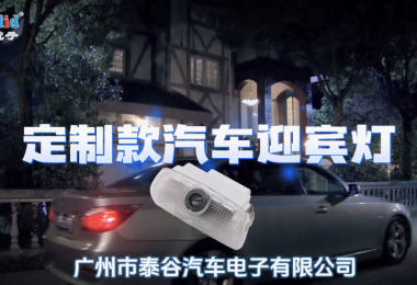 定制汽车迎宾灯